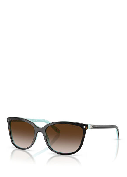 Brown Blue Women's Sunglasses