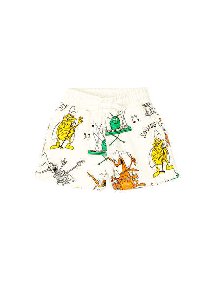 Çok Renkli Erkek Çocuk Şort