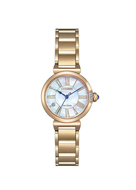 EM1063-89D Titanyum Unisex Kol Saati