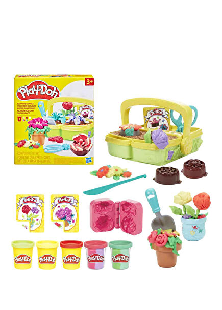 Renkli Çiçekler Botanik Oyun Seti