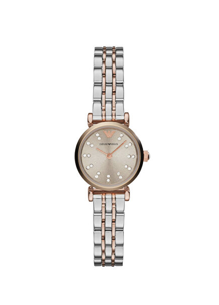 AR1841 Rose Gold Metalik Gri Kadın Kol Saati