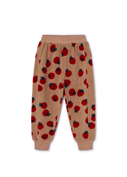 Multicolor Kids Tracksuit