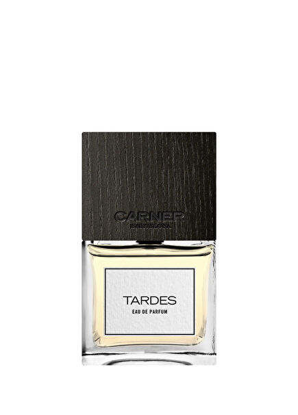 Tardes Edp Men's Perfume 100 ml