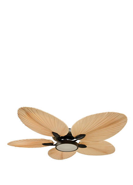 Lora Black Palm Leaf Illuminated Ceiling Fan