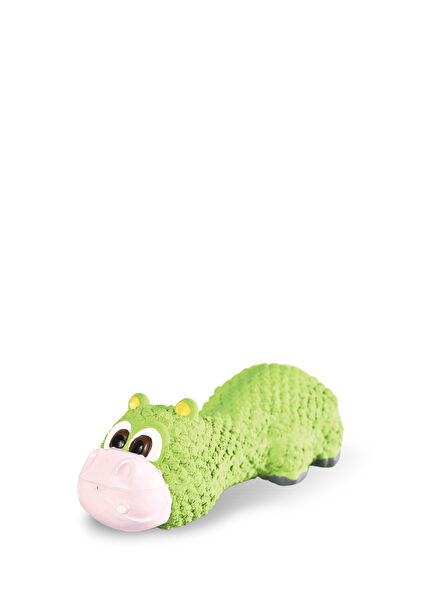 Gıcırtı Ayı Lateks Köpek Oyuncağı