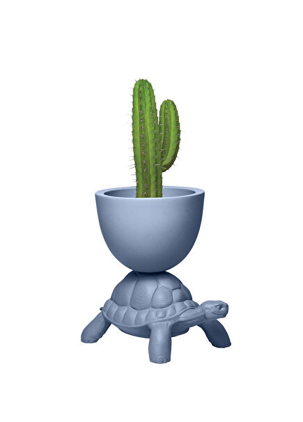 Turtle Carry Mavi Saksı