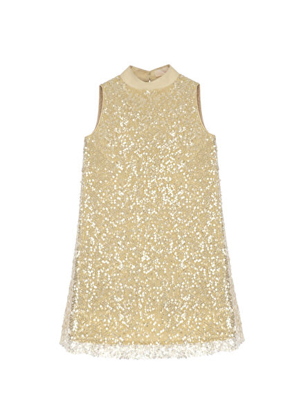 Miss Cassie Sequined Lace Coated Beige Organza Sleeve Girls' Dress