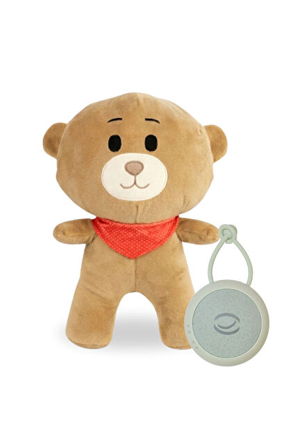 Green Sprinkler & Lullaby Noise Device and Teddy Bear Sleeping Companion