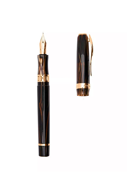 Antichi Black Gold Fountain Pen