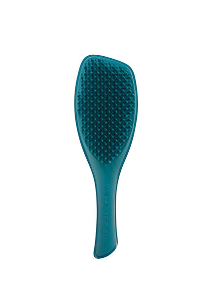 Complete Carebrush Mavi İnce Telli ve Hassas Saçlar için Saç Fırçası Tarak