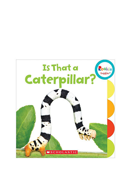 Rookie Toddler: Is That a Caterpillar? Çocuk Yabancı Dil Kitabı