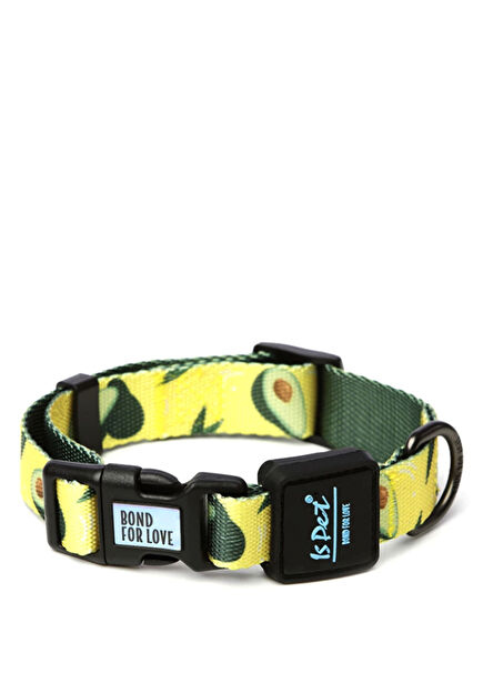 Ispet Avokado Köpek Boyun Tasması