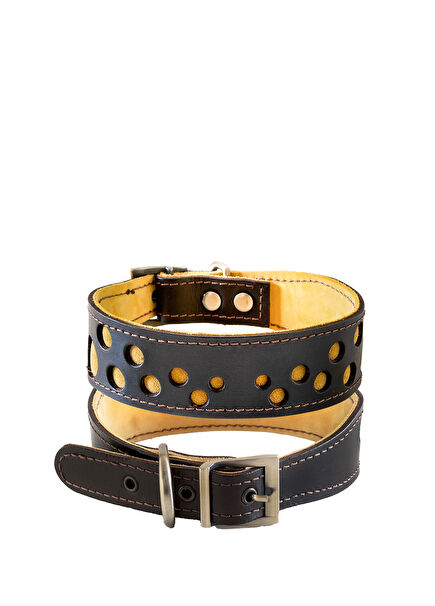 Kahverengi Deri Köpek Boyun Tasması