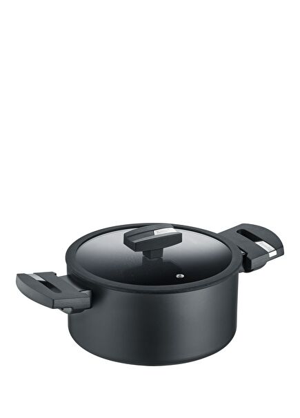 B.Green Induction Siyah Cam Kapaklı Tencere 20 cm