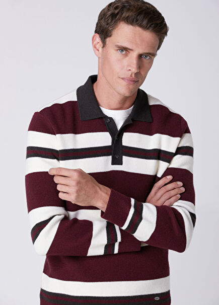 Plum Polo Colorblocked Wool Sweater