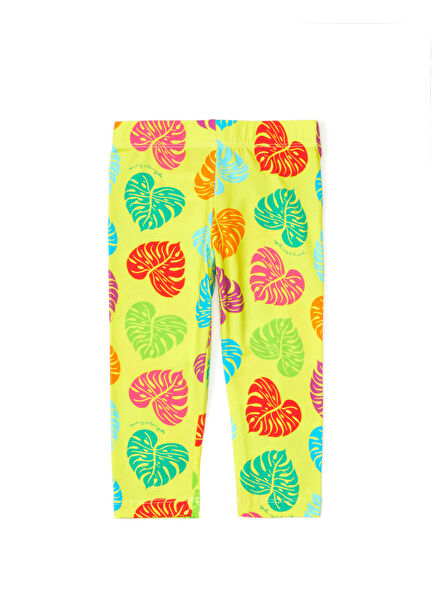 Multicolored Girls Tights