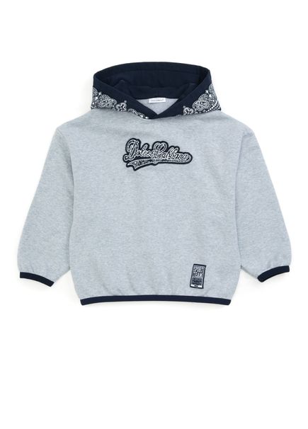 Grey Hooded Boys' Sweatshirt
