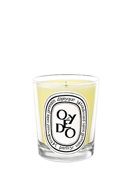 Standard Candle Oyedo 190 gr