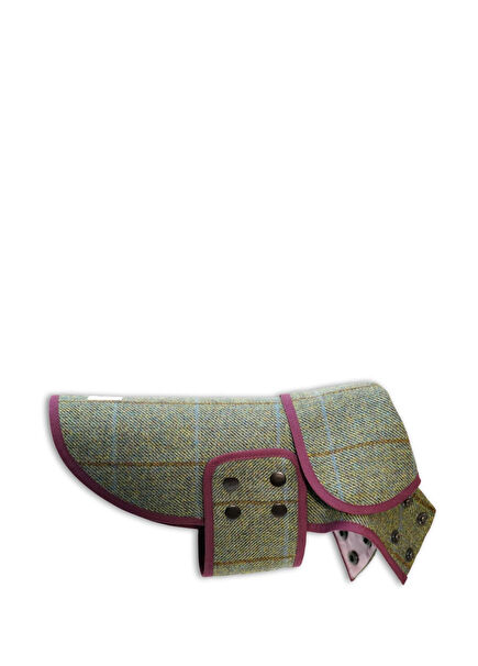 Scotch Pulse Moorland Yeşil Mor Köpek Ceketi