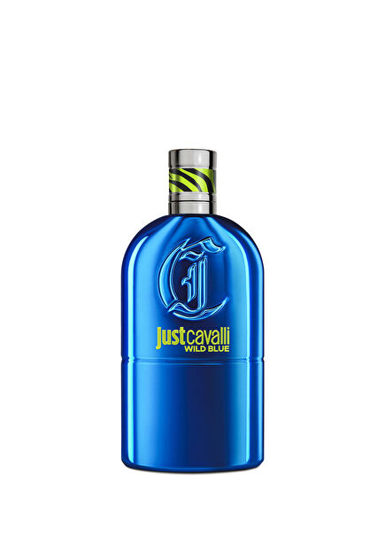 Just Cavalli Wild Blue EDT 90 ml  Erkek Parfüm