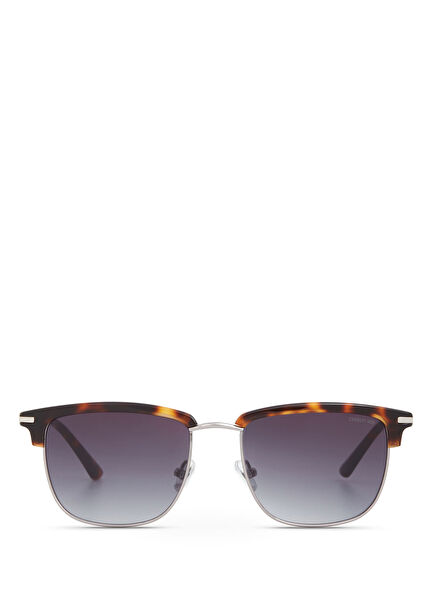 CR 80082 C2 Havana Gümüş Metal Erkek Güneş Gözlüğü