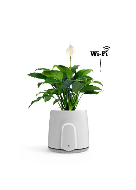 Natede WiFi Bağlantılı Saksı Tipi Hava Temizleyici