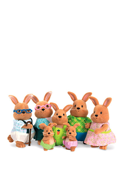 Miniature Rabbit Family