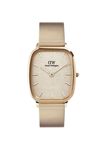 DW00600815 Rose Gold Çelik Erkek Kol Saati