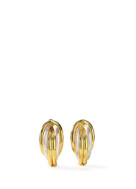 Renewal Huge Pipe Women's Silver Earrings