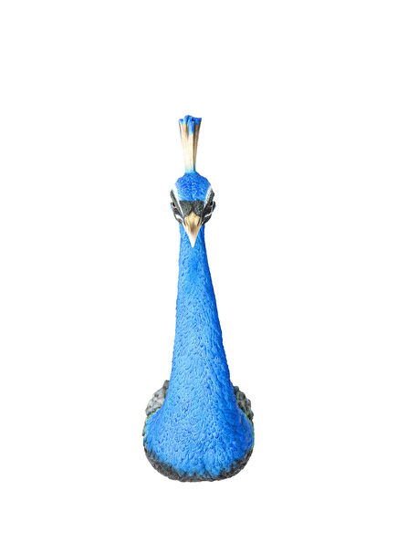 Peacock Duvar Süsü