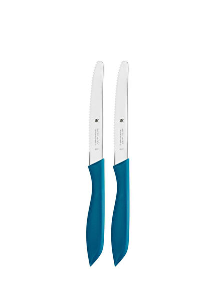 Blue Steel 2-Piece Fruit Knife Set