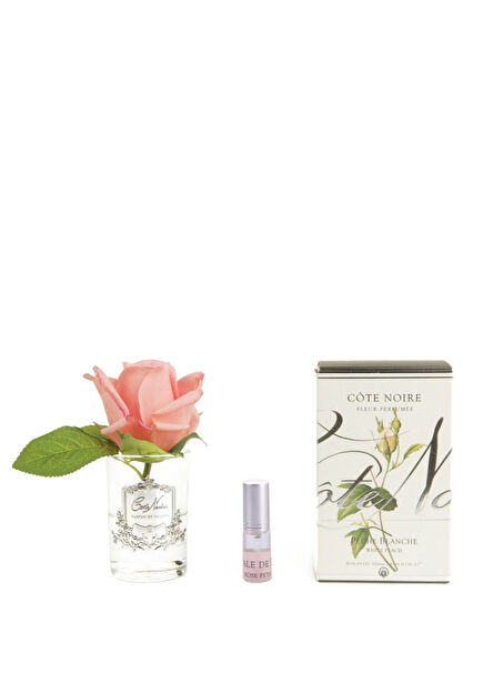 Turuncu Güllü Oda Kokusu 120 ml