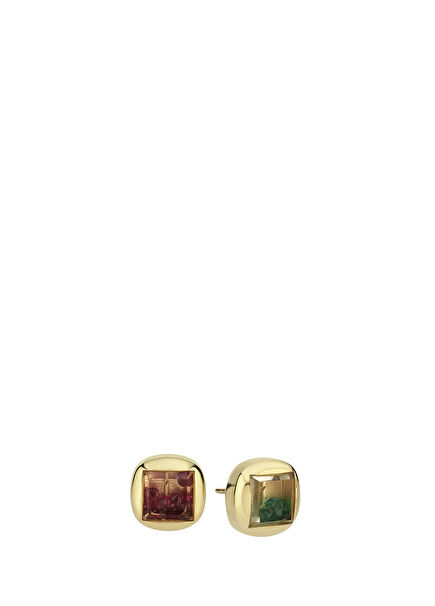 Aquarium Ruby and Emerald Women's Earrings