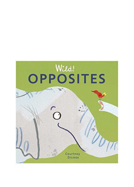 Wild!: Opposites Çocuk Yabancı Dil Kitabı