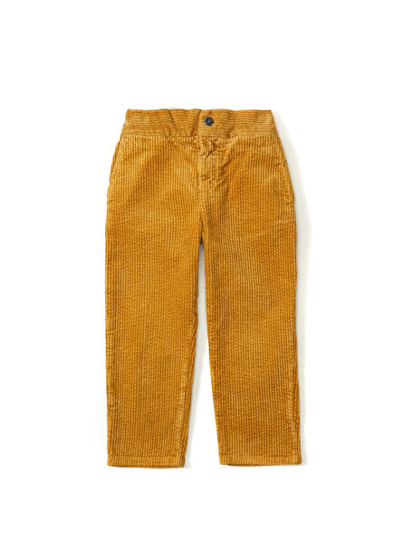 Brown Boys Corduroy Pants