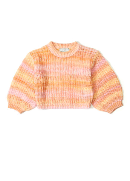 Multicolored Girls Sweater