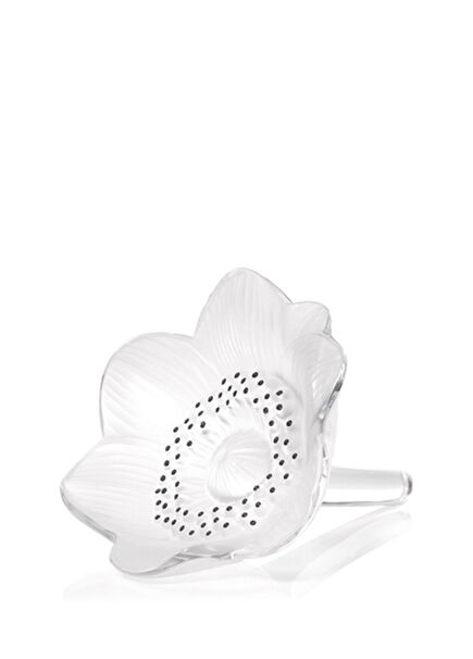 Anemone Kristal Obje