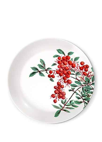 Red Berry Collection Çukur Porselen Yemek Tabağı 21 cm