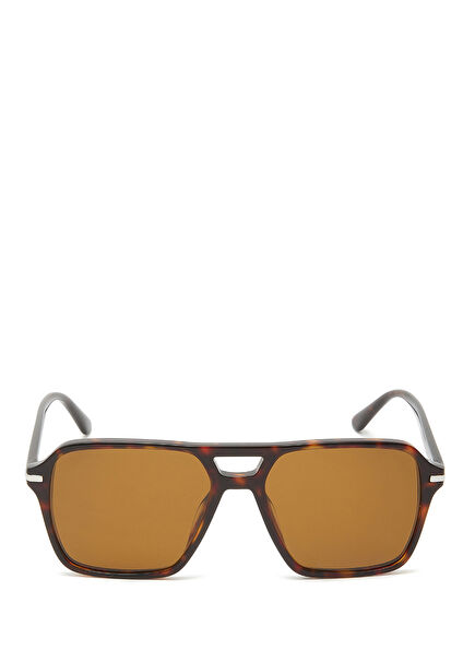 Brown Men's Sunglasses