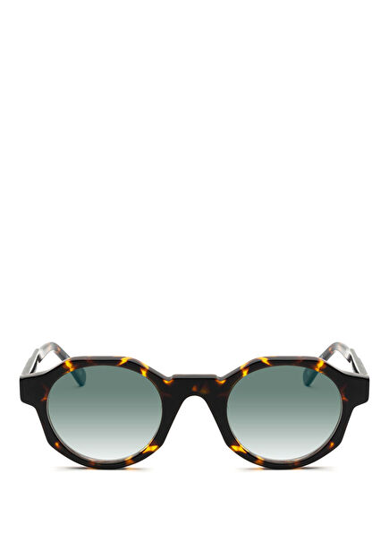 Connor Conntrtg15 Brown Men's Sunglasses