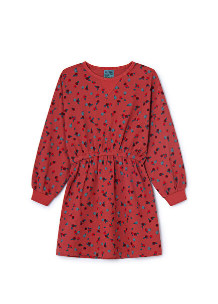 Elodie Multicolor Girls Organic Cotton Dress