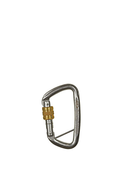 Ct D-shape Steel Carabiner