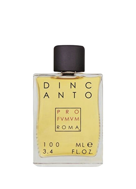 Dincanto EDP 100 ml Erkek Parfüm