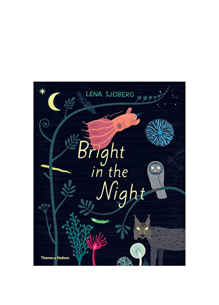 Bright in the Night Çocuk Yabancı Dil Kitabı