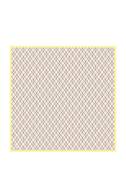 Lasso Chain Patterned Twill Silk Women's Scarf