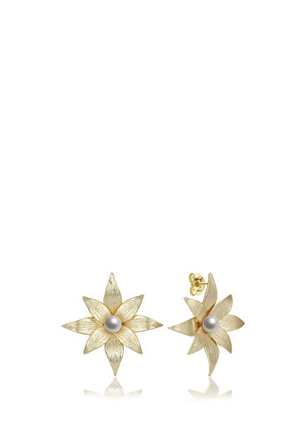 Nova Zircon Gold Plated Women's Earrings