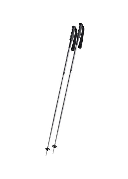 Blazer Silver Ski Pole