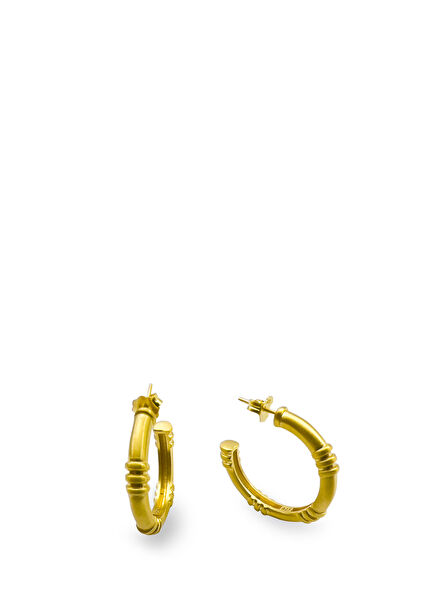 Lea Gold Women's Matte Silver Large Earring