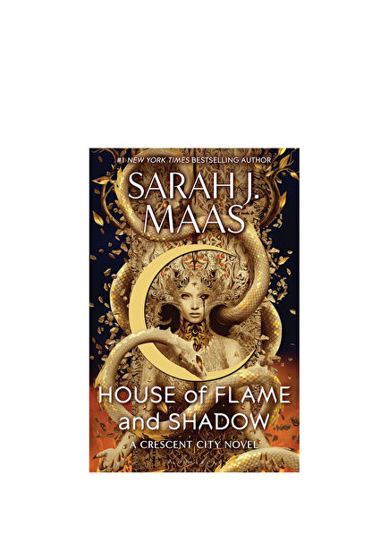 House of Flame And Shadow Yabancı Dil Kitabı