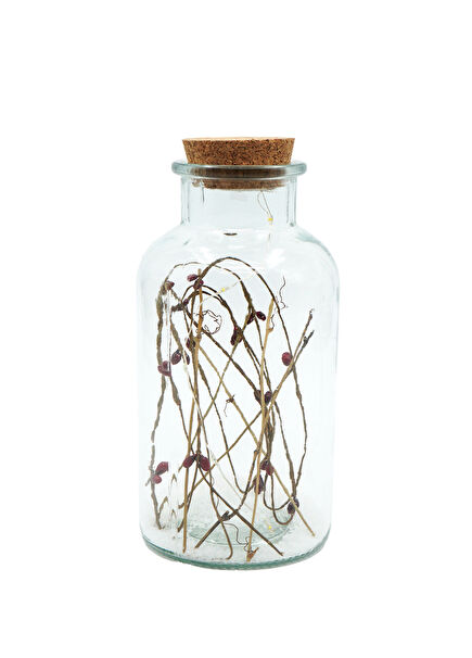 LED Lighted Decor Bottle